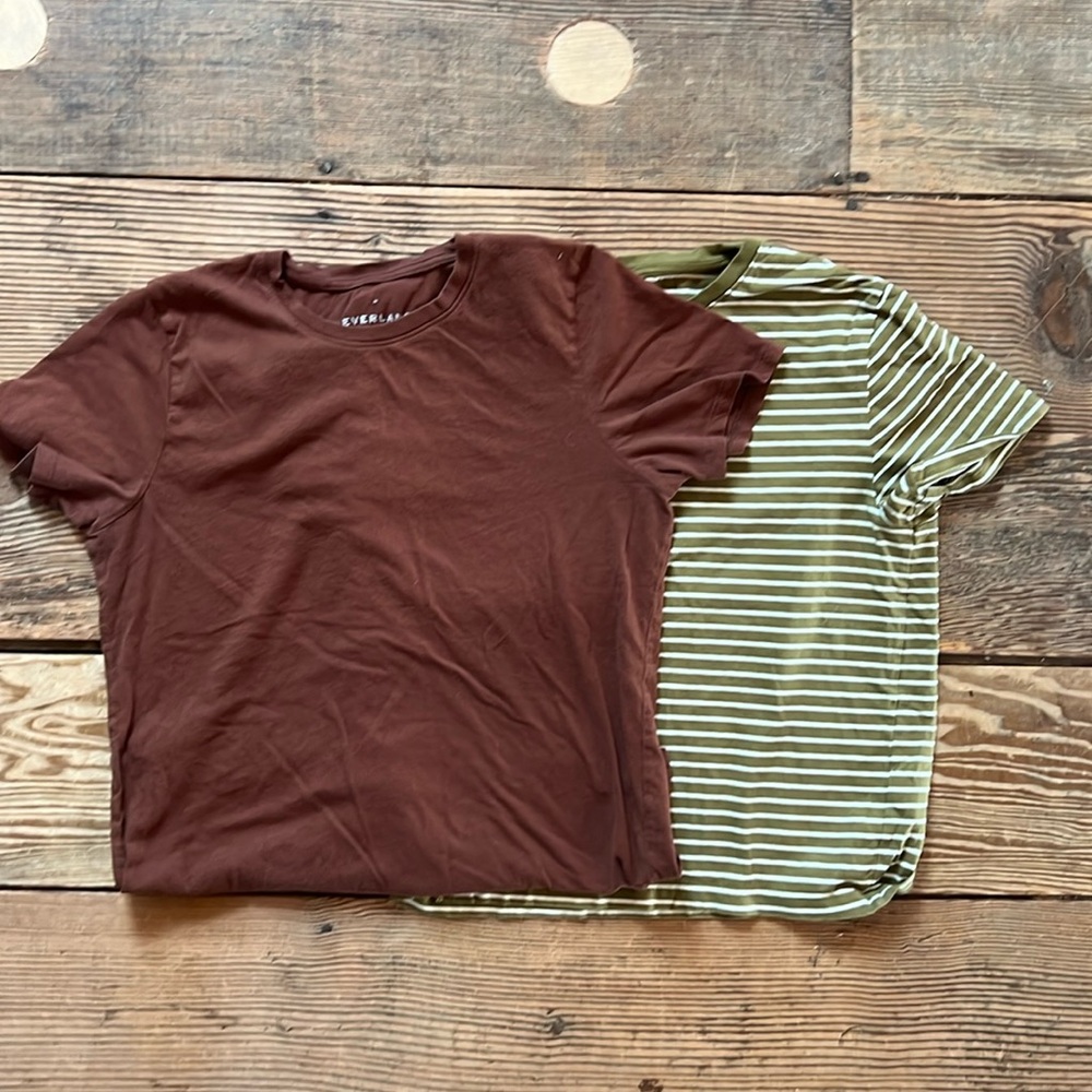 Everlane cotton tee shirt bundle